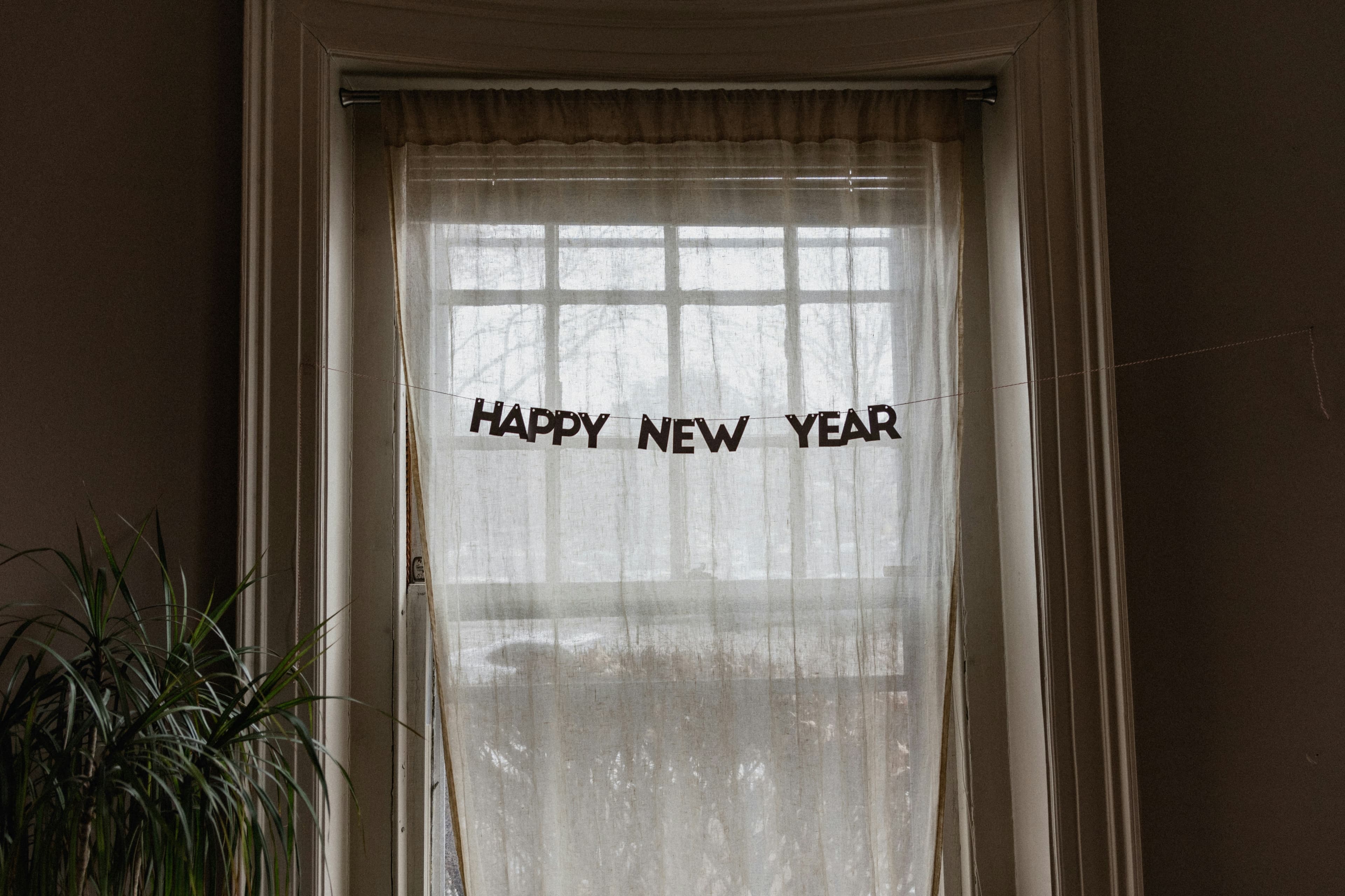"Happy New Year" banner hanging on a window with sheer curtains, next to a leafy plant.